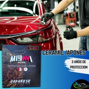 Cerámico japonés 3 años 811